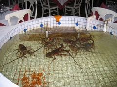 Bistrot Carib Lobster